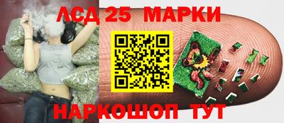 стафф Белореченск