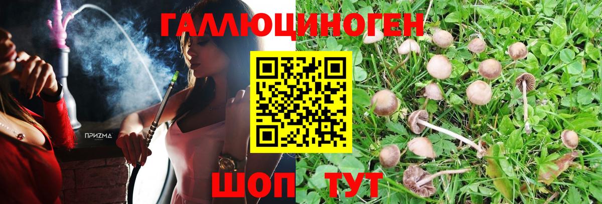 Галлюциногенные грибы GOLDEN TEACHER Карачаевск